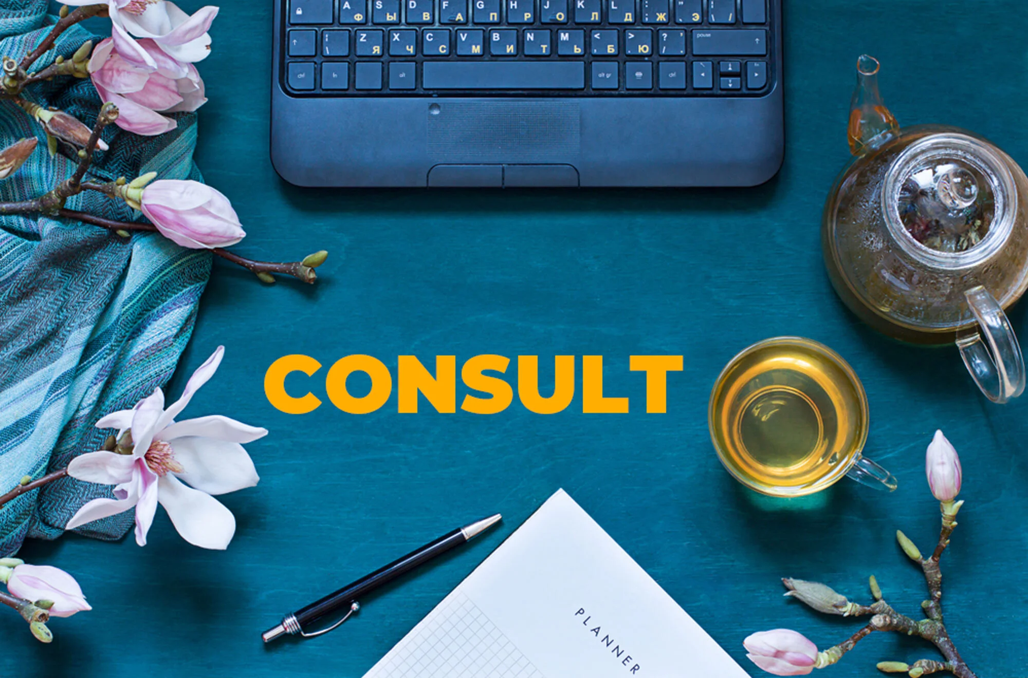 F16FDD4E-6DCD-450E-A345-07BF66CF5598