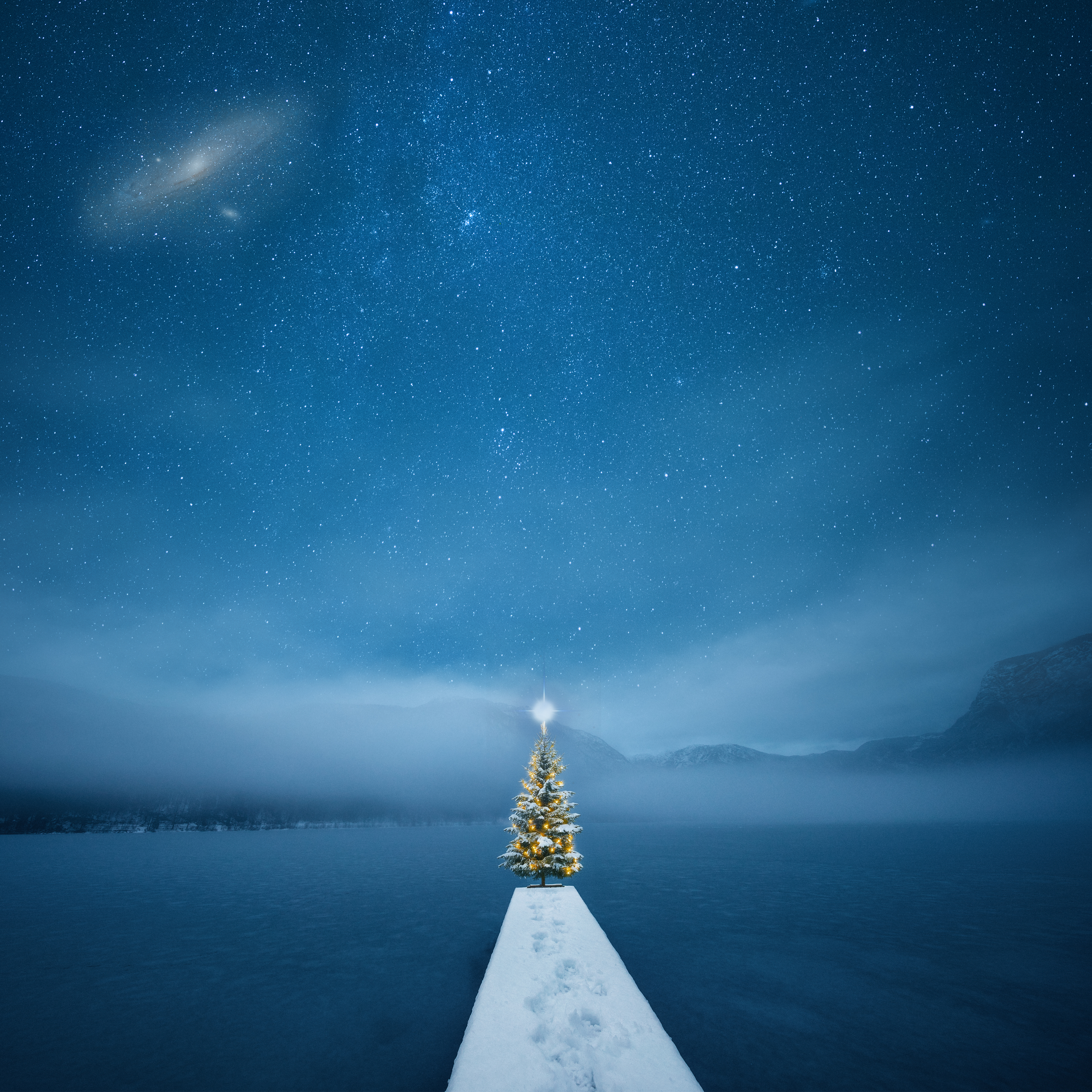 Star-of-Wonder-cover-no-text.png