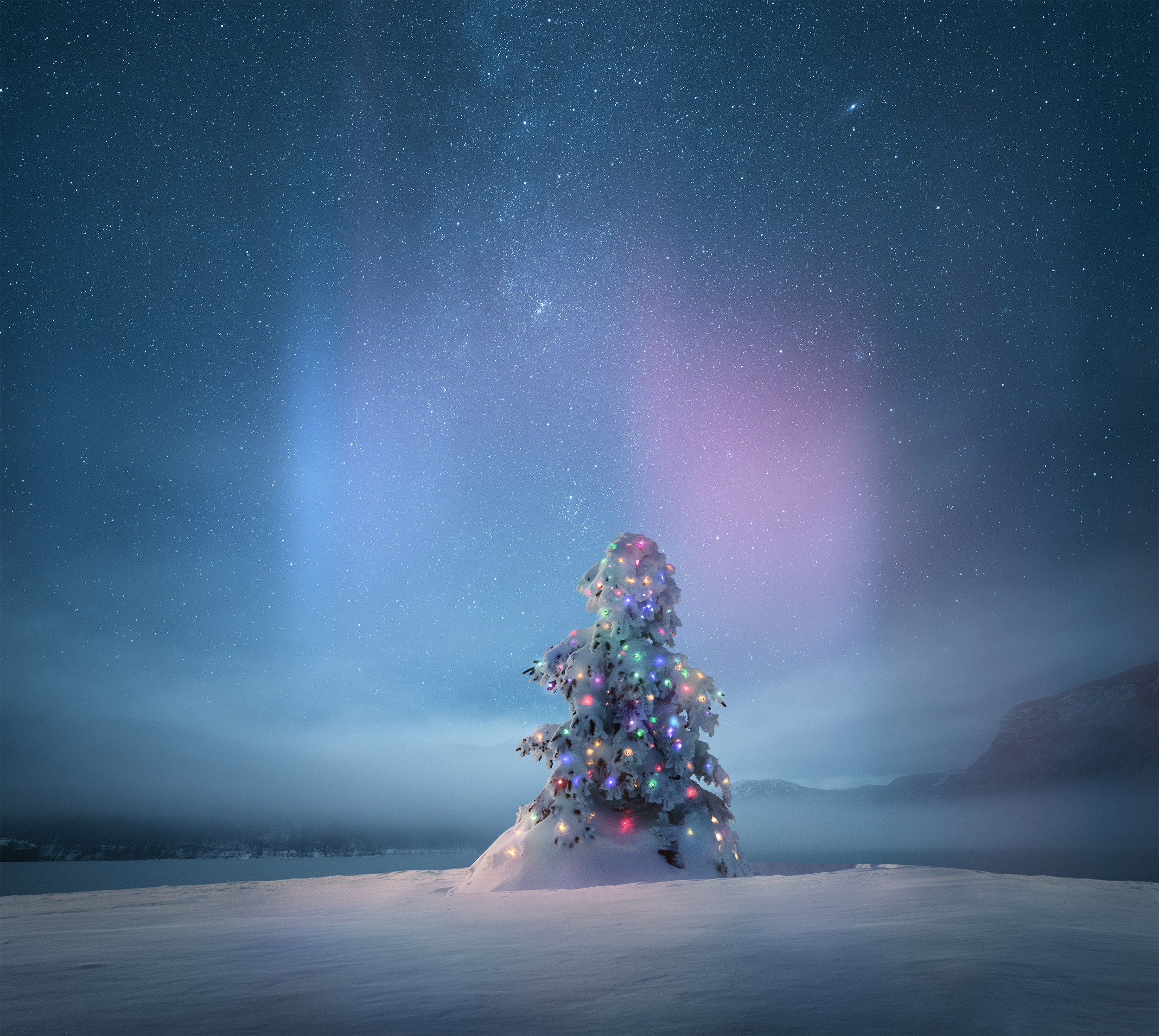 Still-cover-3000x3000-no-text.png