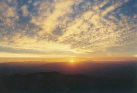 Mindfulness Meditation Therapy