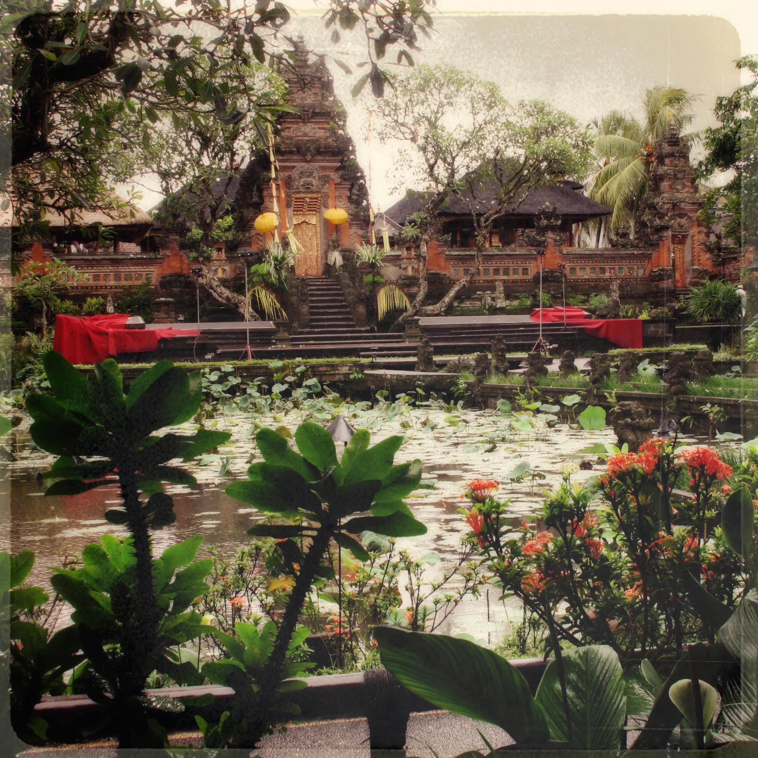 Cafe Lotus, Ubud, Bali, Travel Photography by Galia Alena