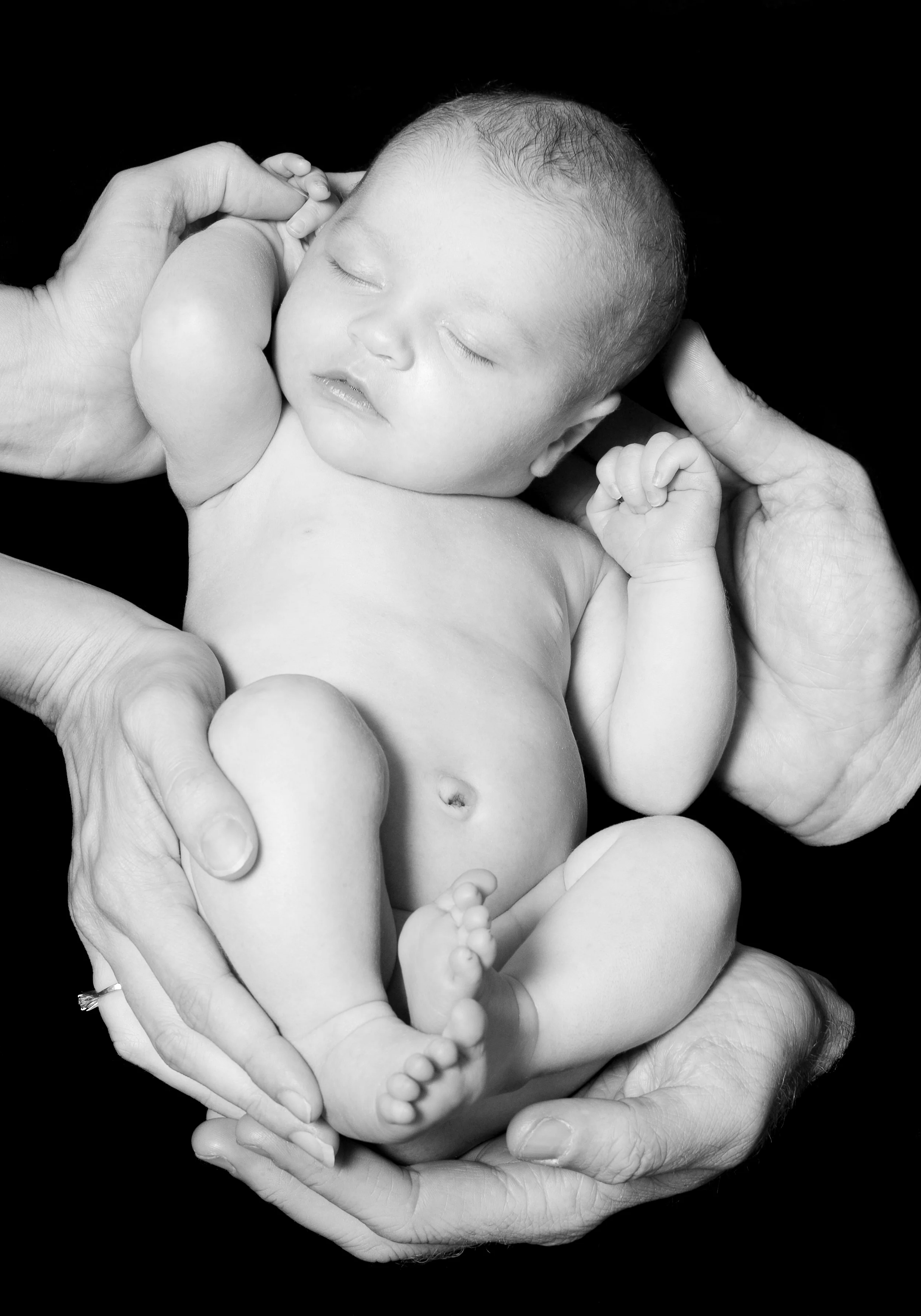 Newborn Baby Photography Blue Mountains