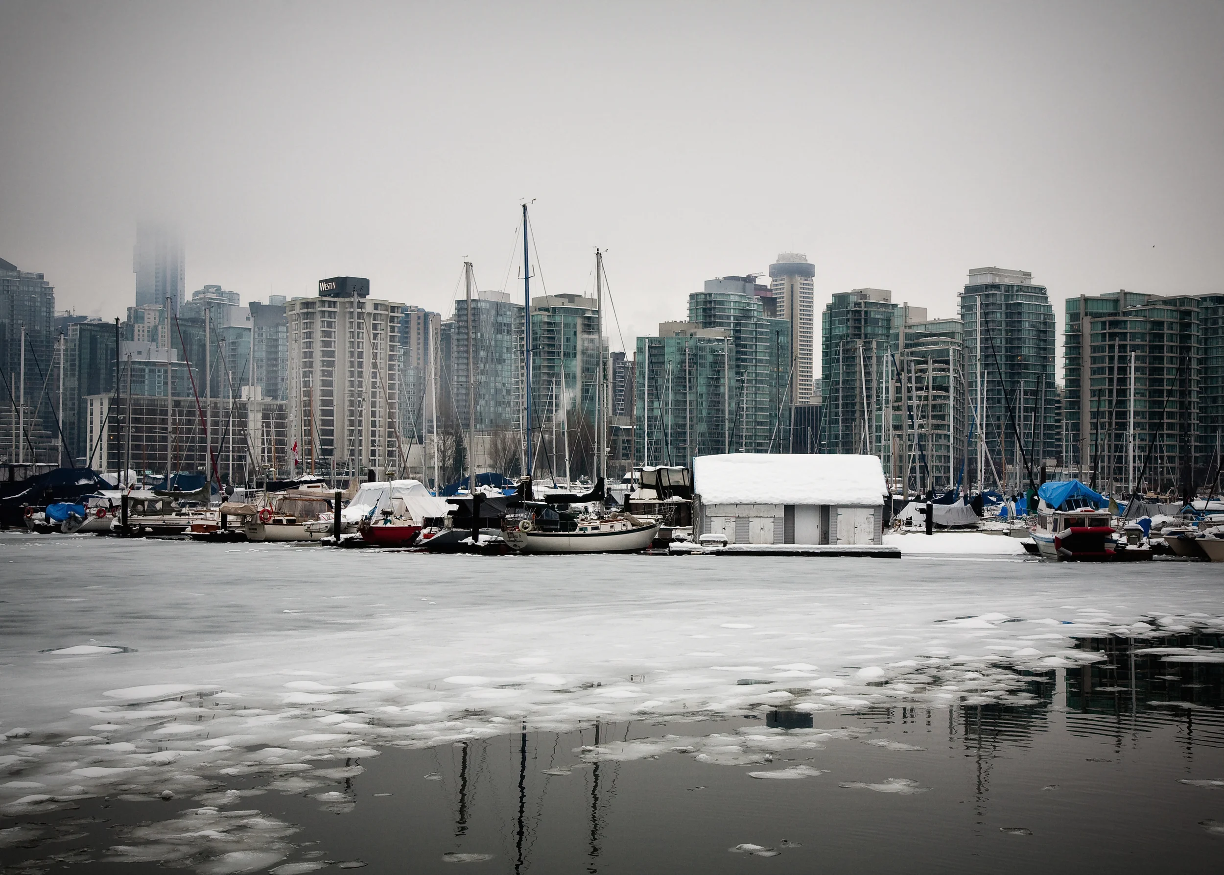 Winter Vancouver, Canada, Travel Photography by Galia Alena