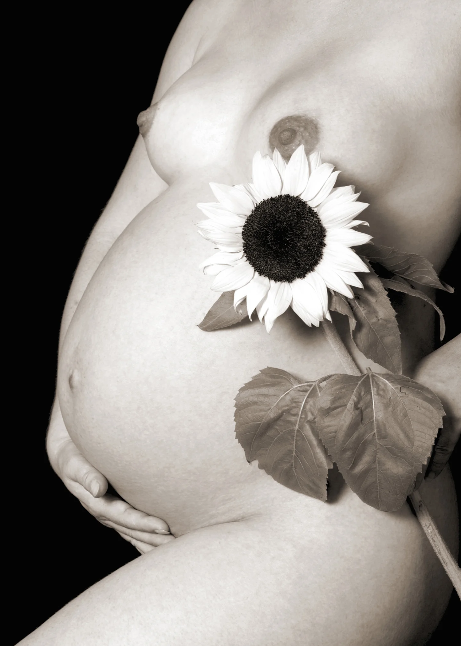 Pregnancy photographer Galia Alena