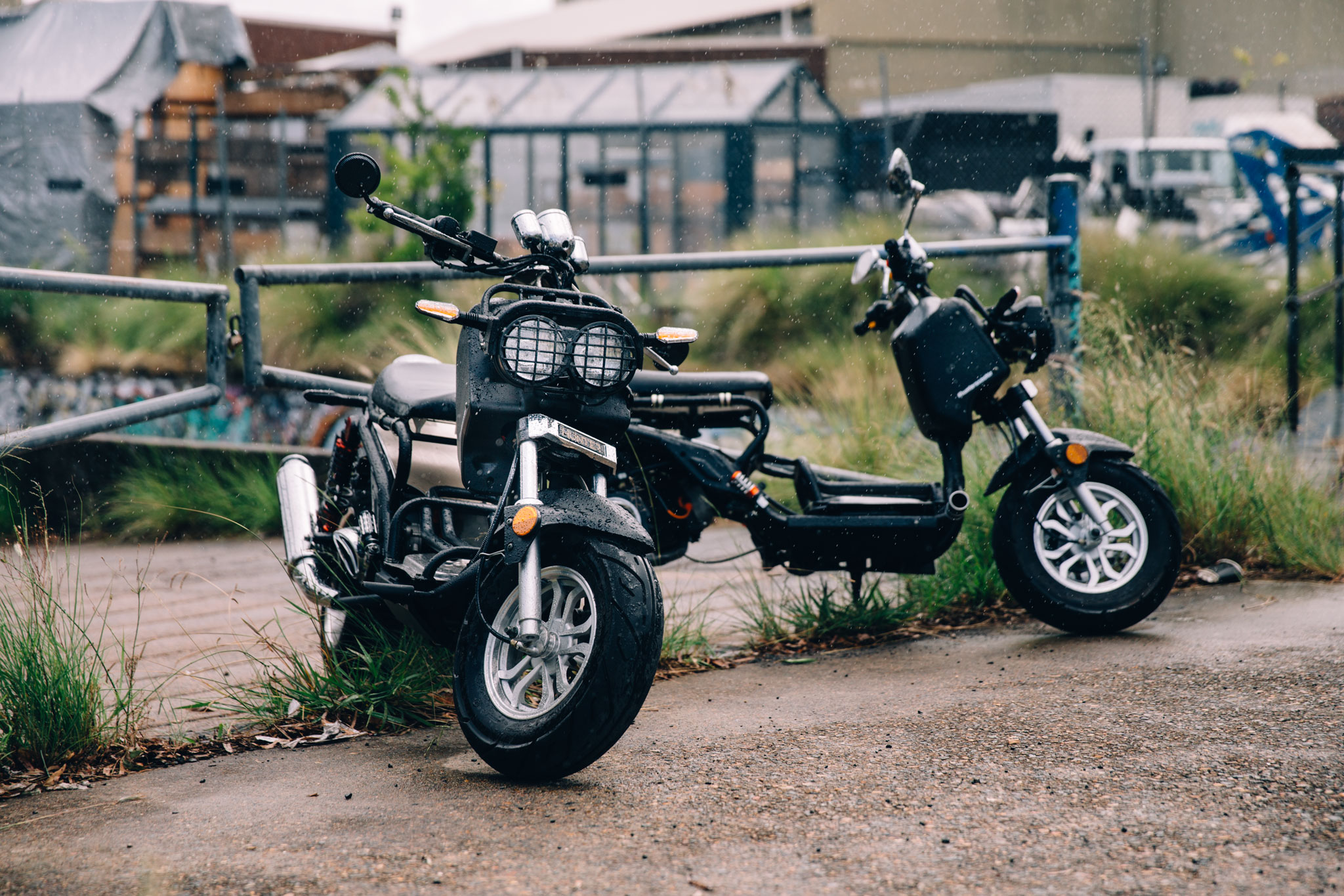 Hunter_Scooter_0748.jpg