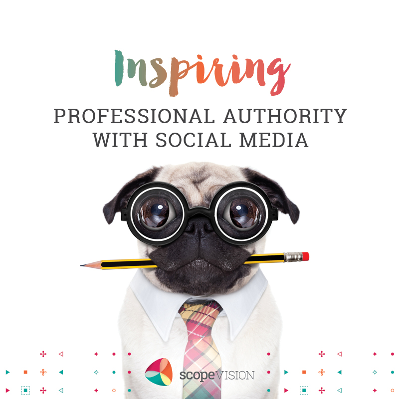 Inspiring Professional Authority With Social Media