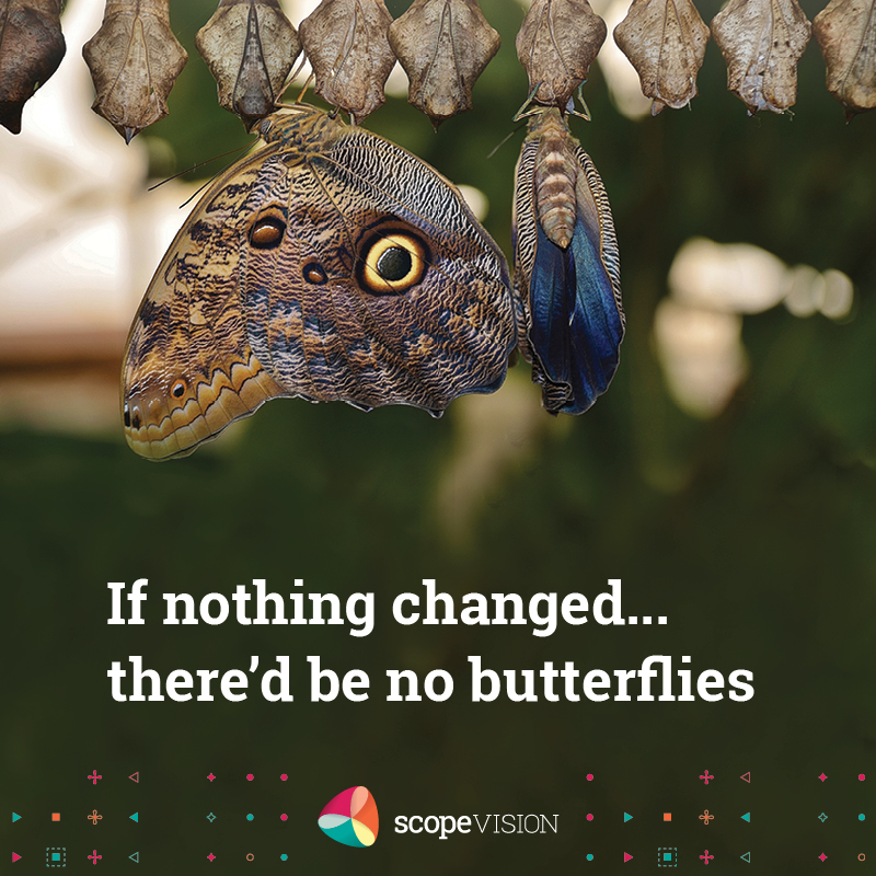 Butterfly change