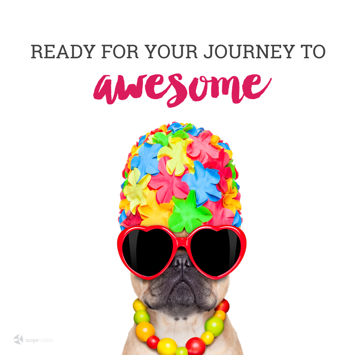 Are You Ready To Go Pro With Us?