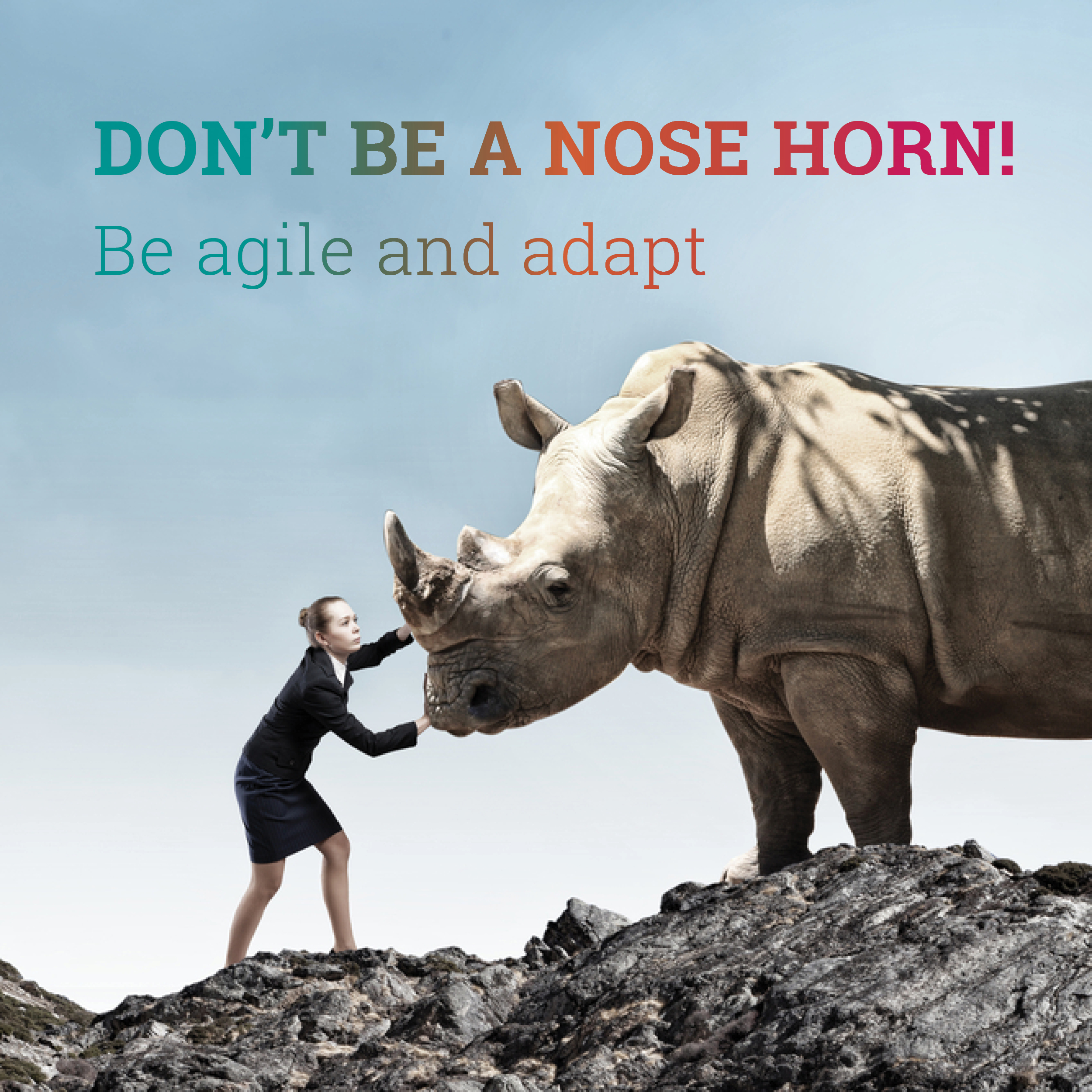Don't be a nose horn!