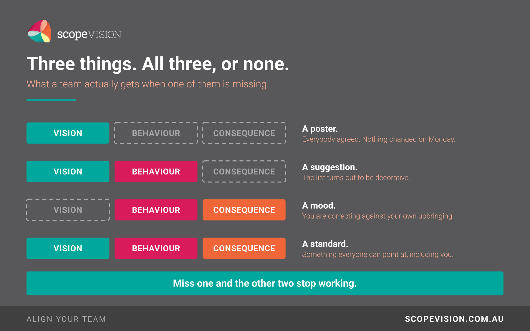 A Scope Vision infographic showing four rows of three blocks labelled vision, behaviour and consequence.