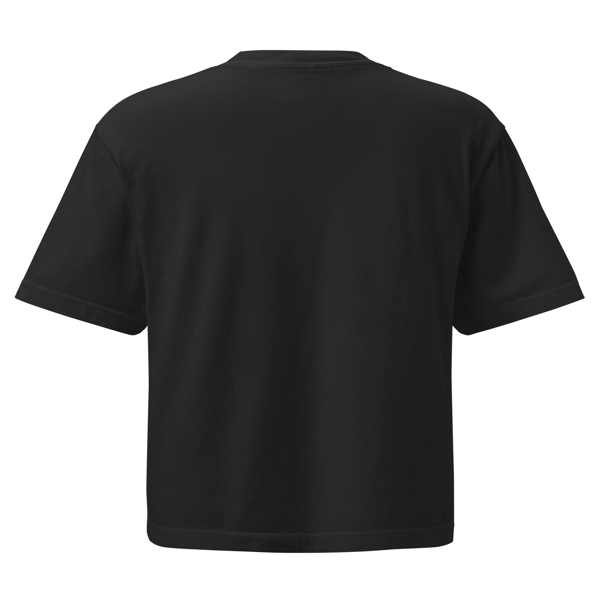 womens-heavyweight-boxy-t-shirt-black-back-696823c9b3f43.png