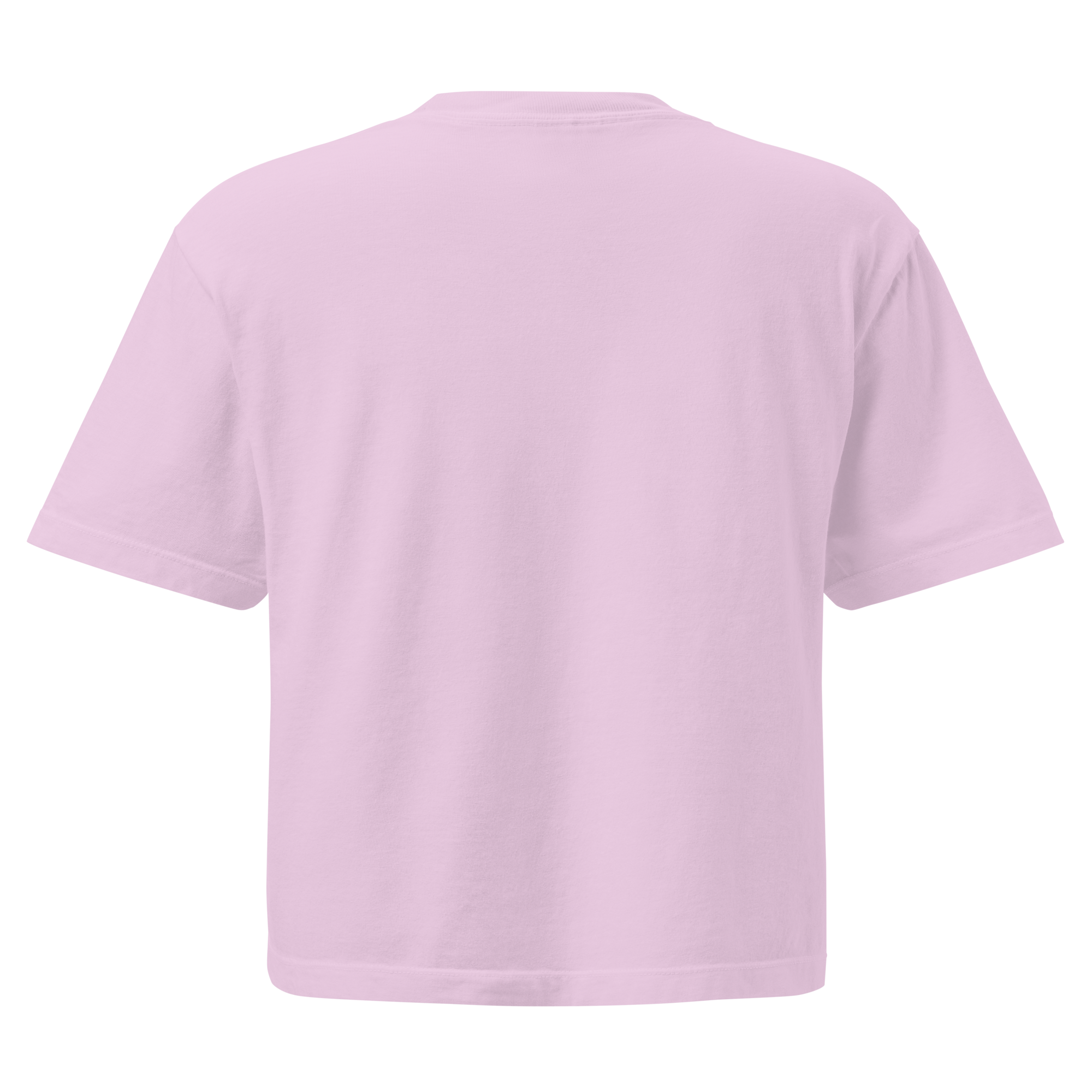 womens-heavyweight-boxy-t-shirt-orchid-back-696823c9b47d0.png