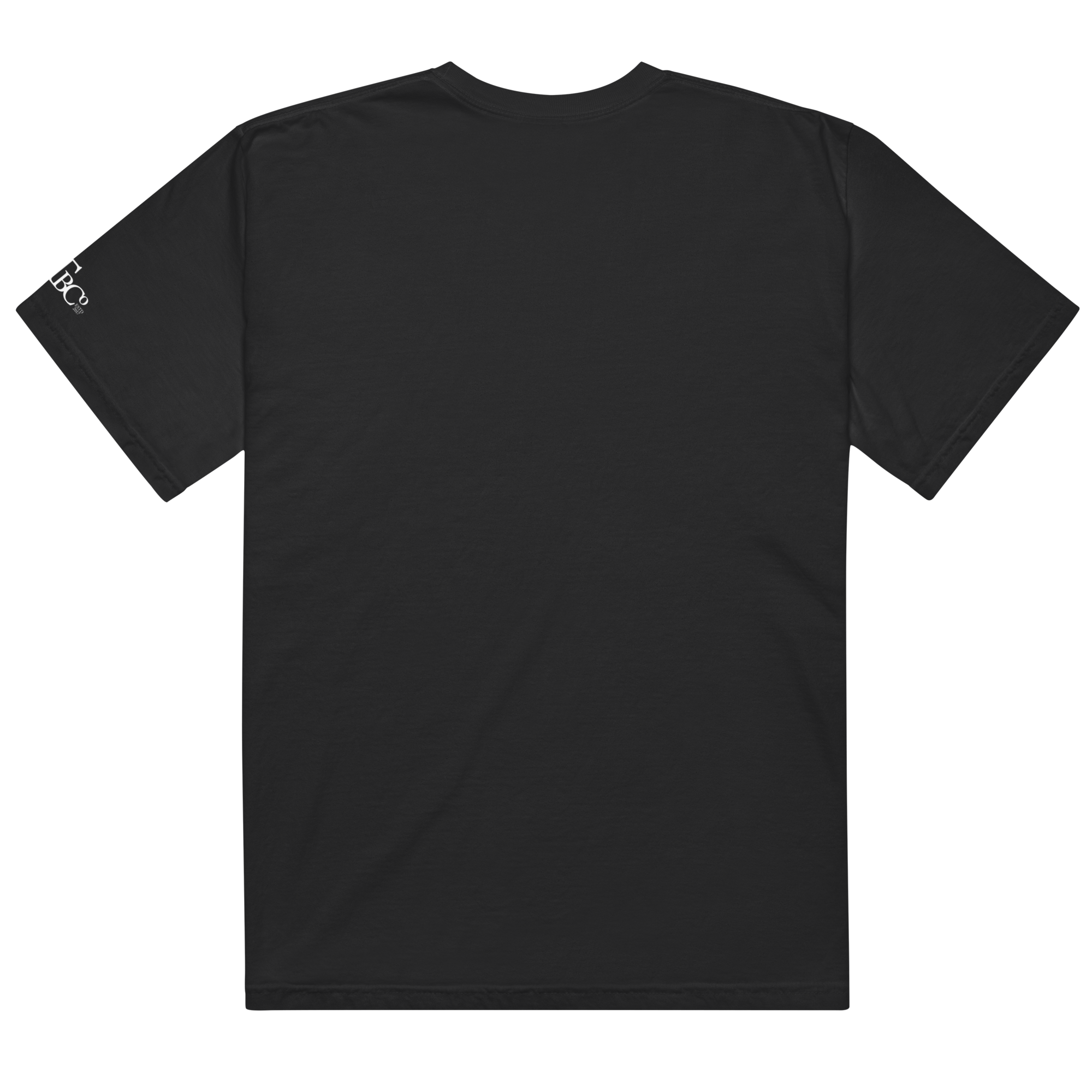 unisex-garment-dyed-heavyweight-t-shirt-black-back-6a04e1720bf5c.png