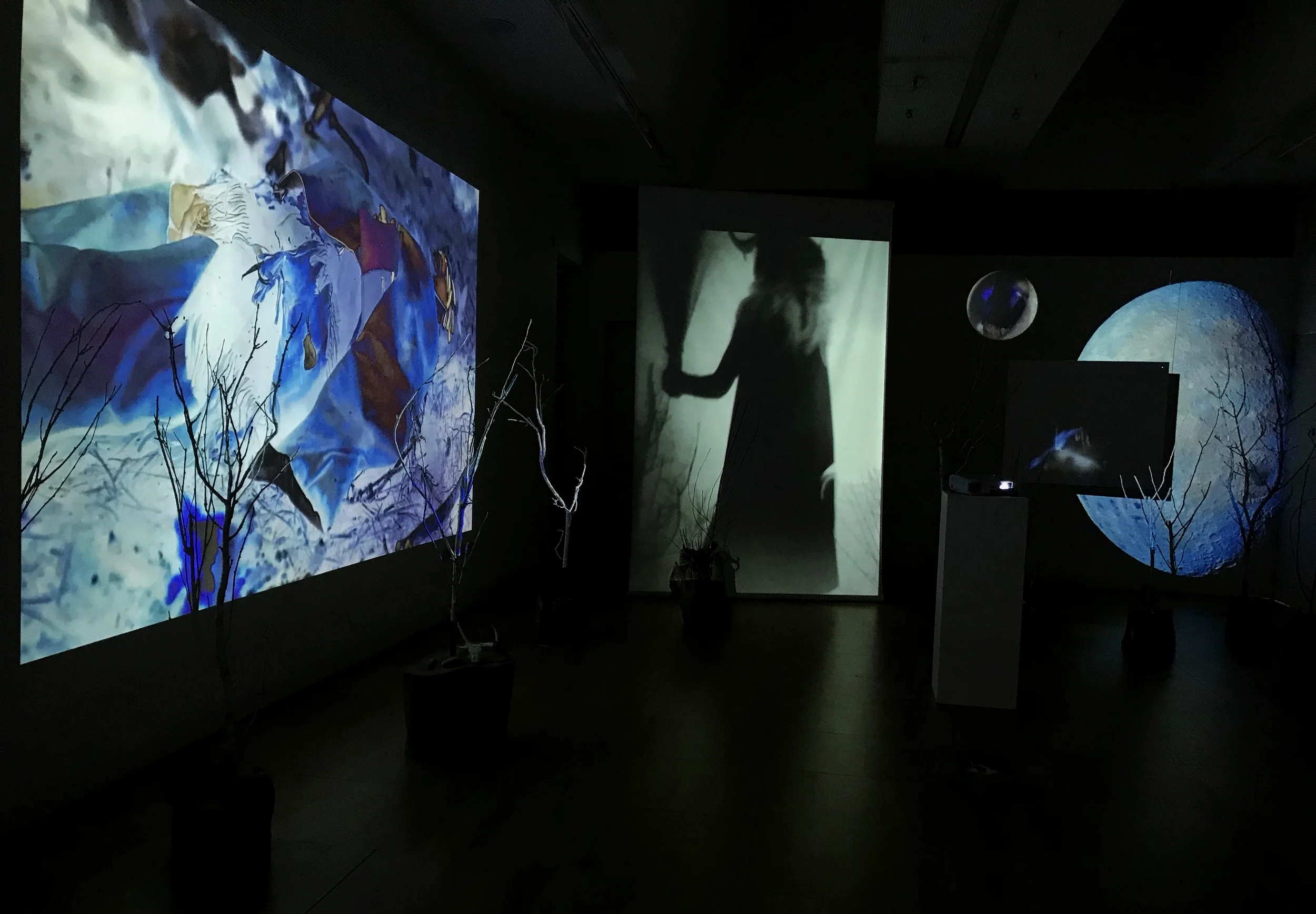 Installation at The Luan Gallery Athlone, June 15th - August 10th (2019)