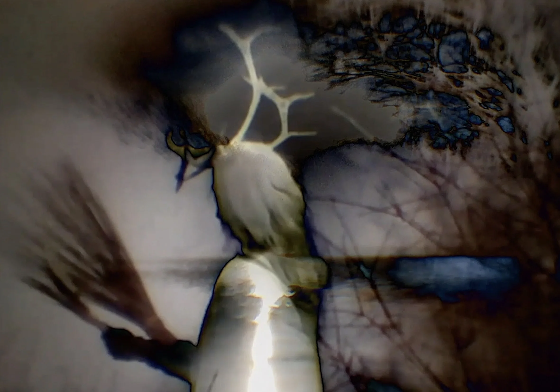 Ritual Dream of The Shaman, channel 2 extract