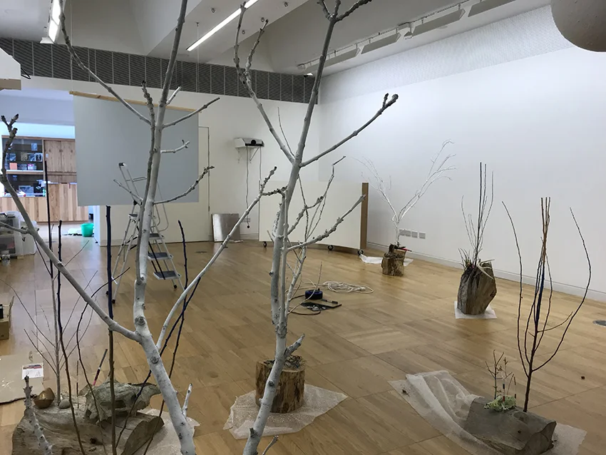 Exhibition installation in The New Gallery of the Luan, June 2019