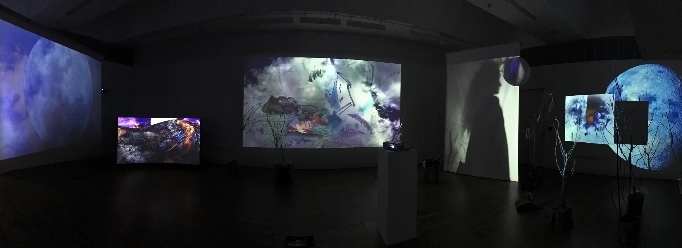 Installation at The Luan Gallery Athlone, June 15th - August 10th (2019). Five-channel video installation (18 min).