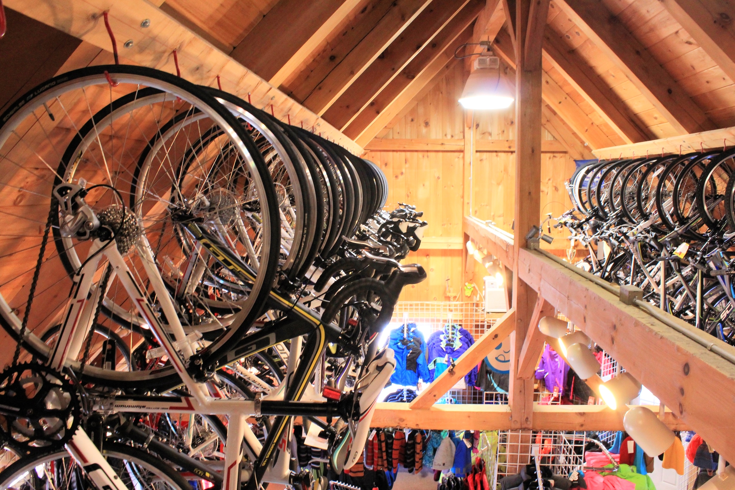 bikes02.jpg