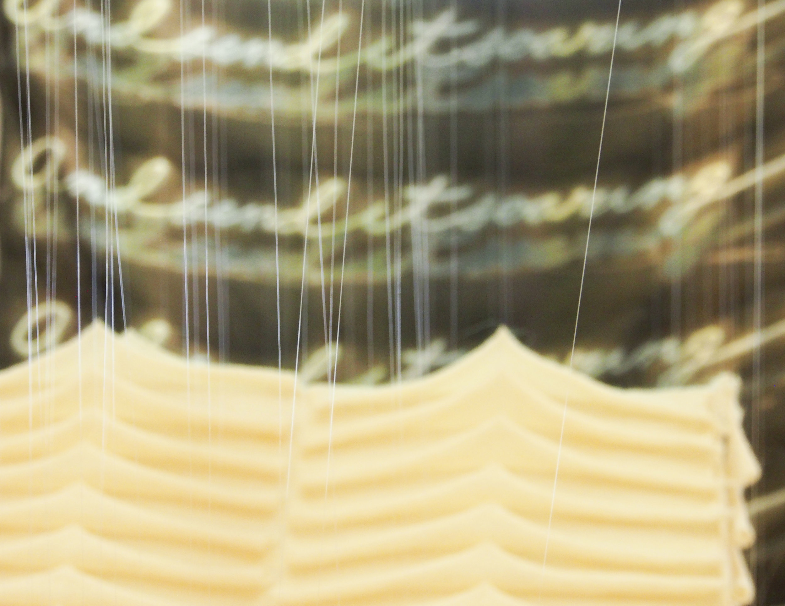 v blurry fly and soaring_3.jpg