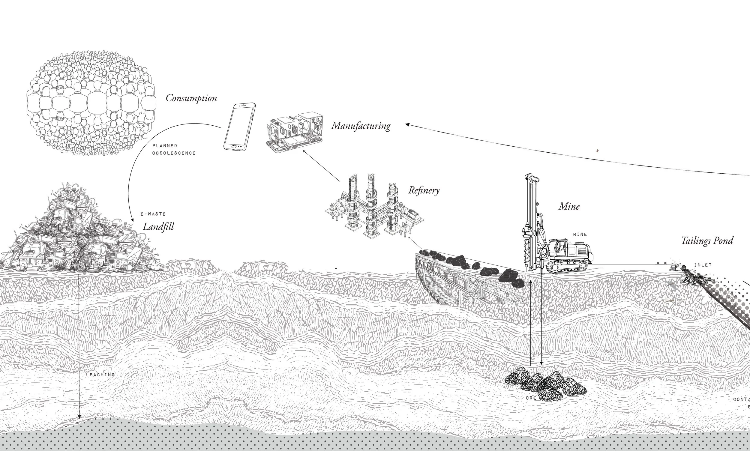 SiphonophoreTextilisSytemsMap_1.jpg