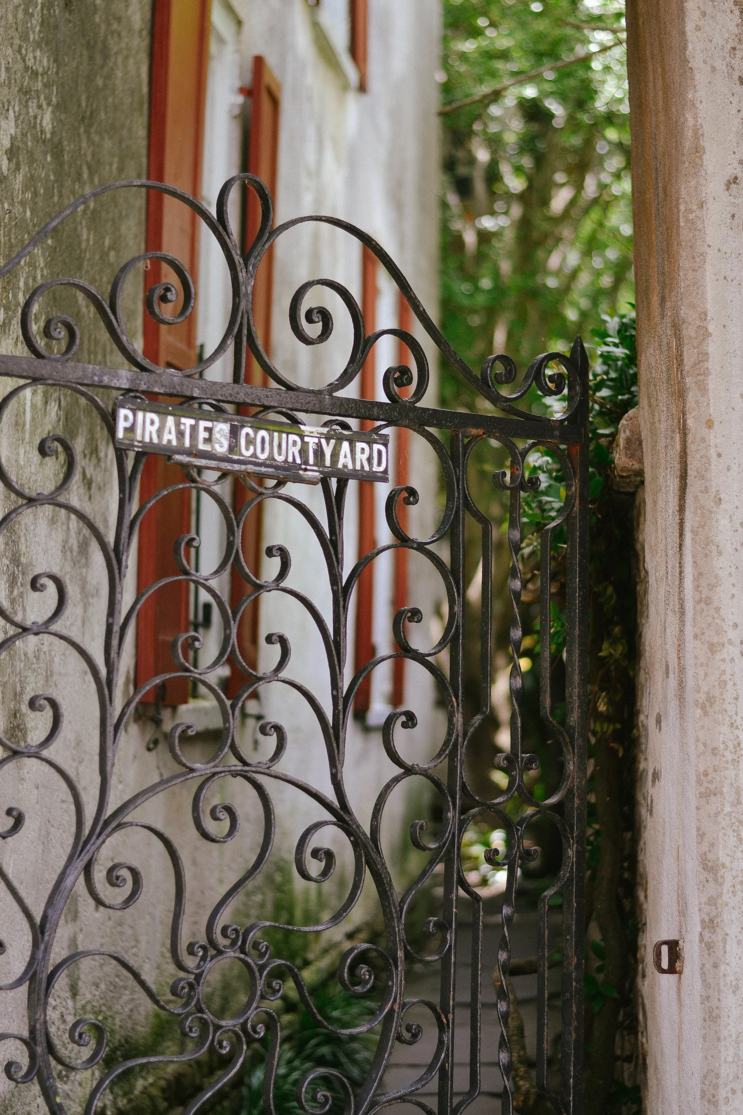 DSC_0565.jpg