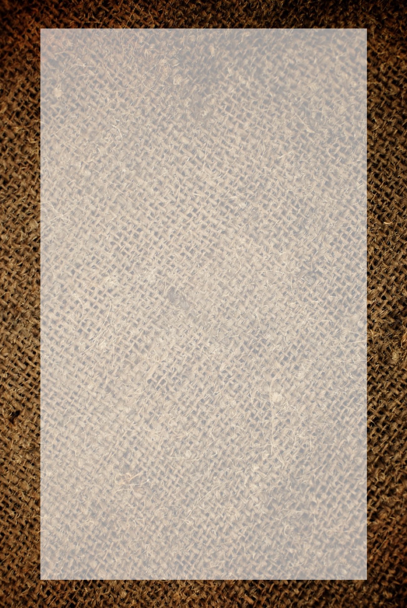 screen background.001-001.jpg