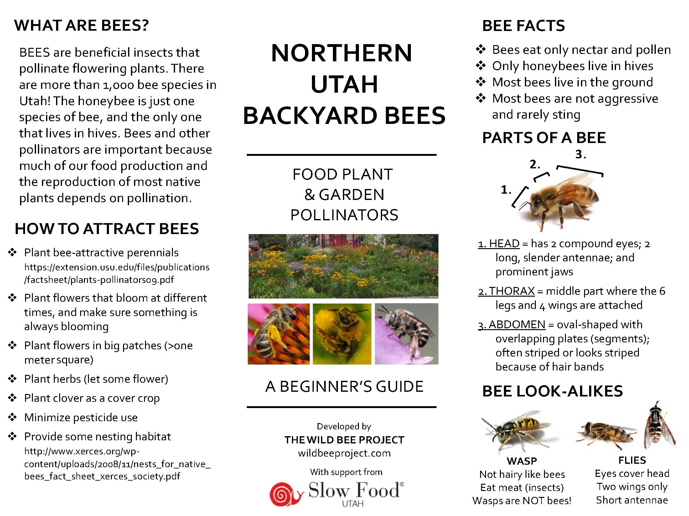 First page_ UT bee guide 5-9-16.jpg