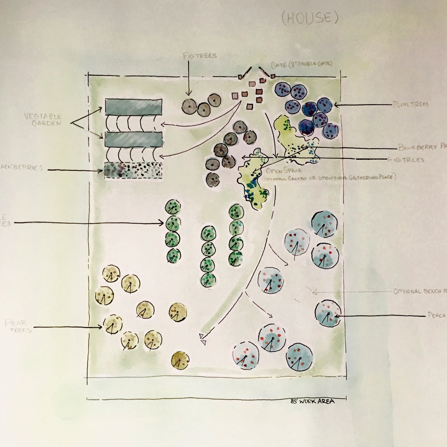 Landscape Architecture Specifications