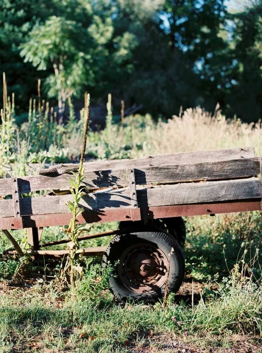Rustic Charm