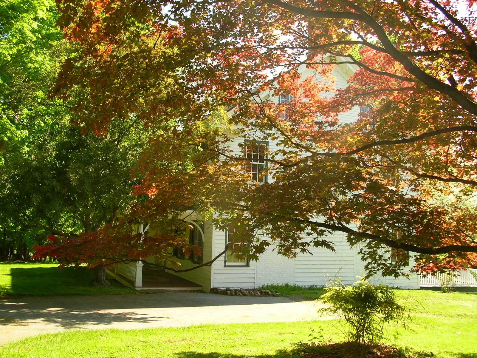 huse.ext.side.jpg