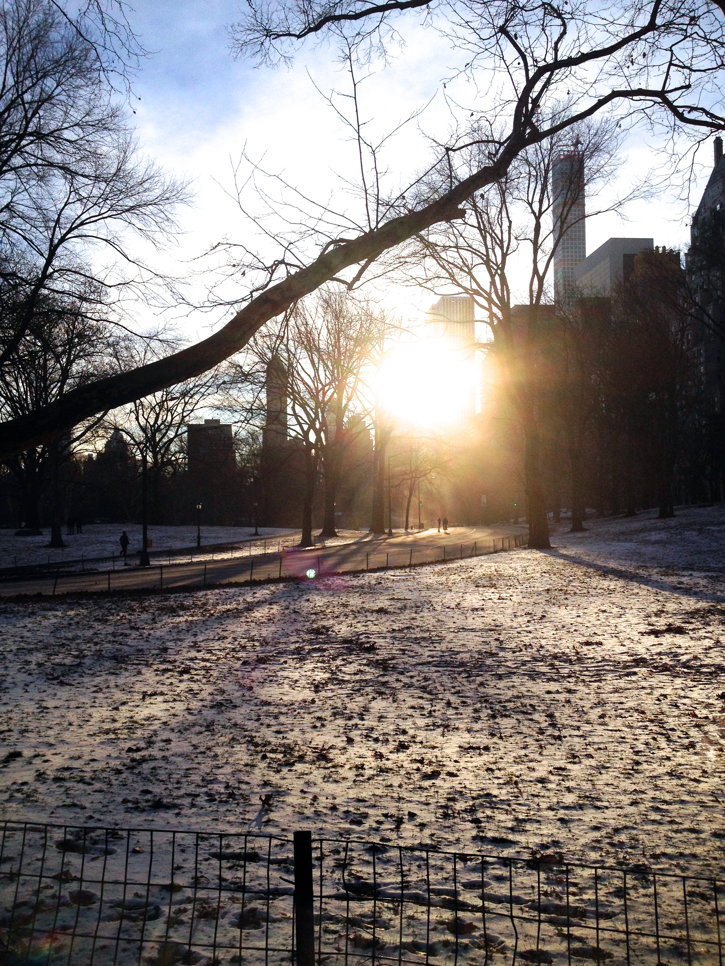  Wintery wonderland in Central Park