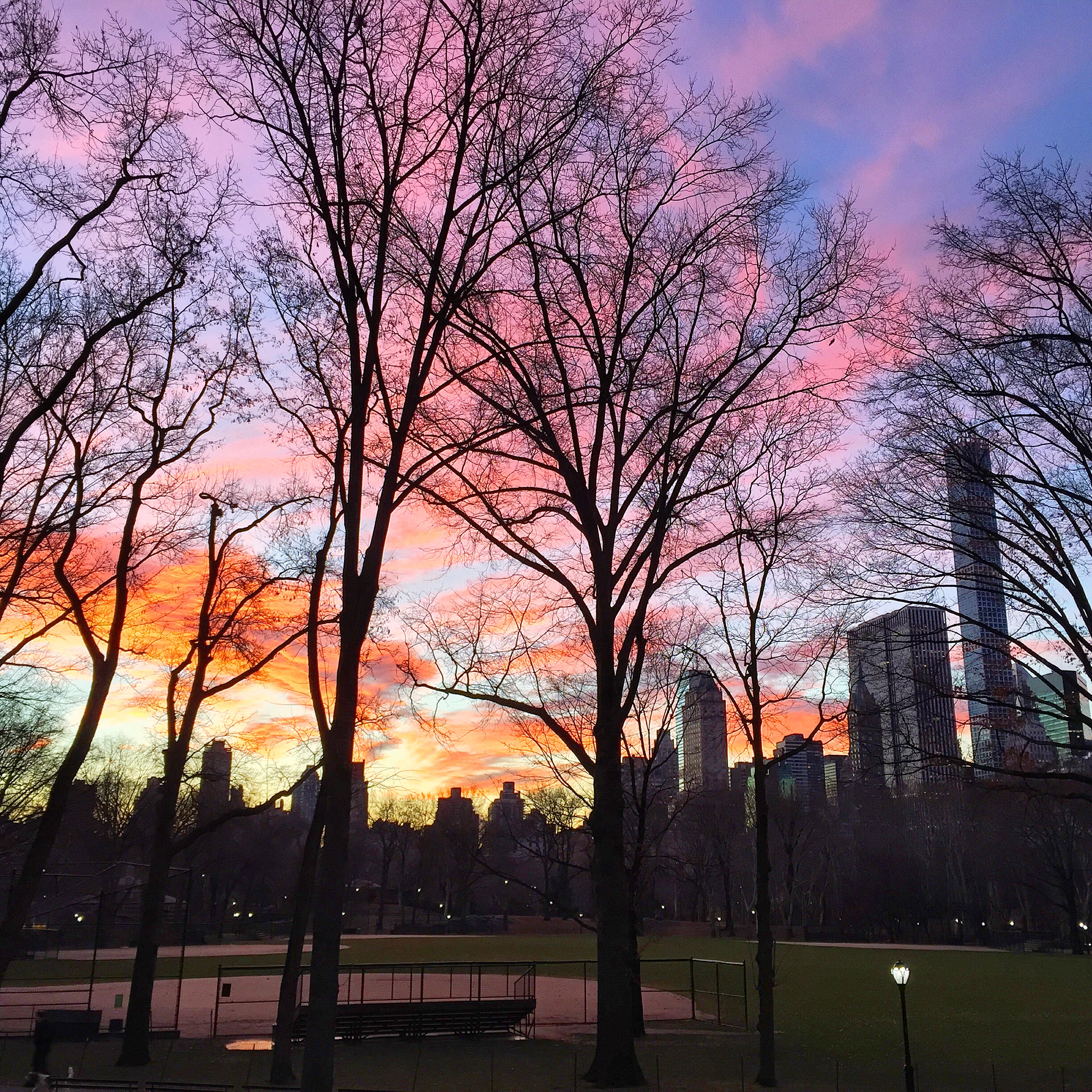 This perfect Central Park backdrop was a post-run reward.
