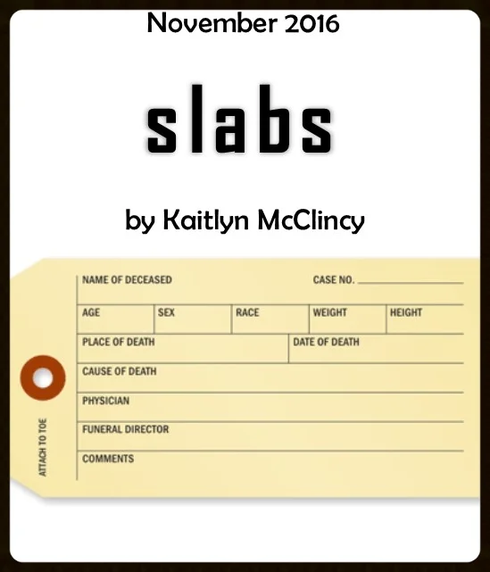 Slabs Image Group.jpg