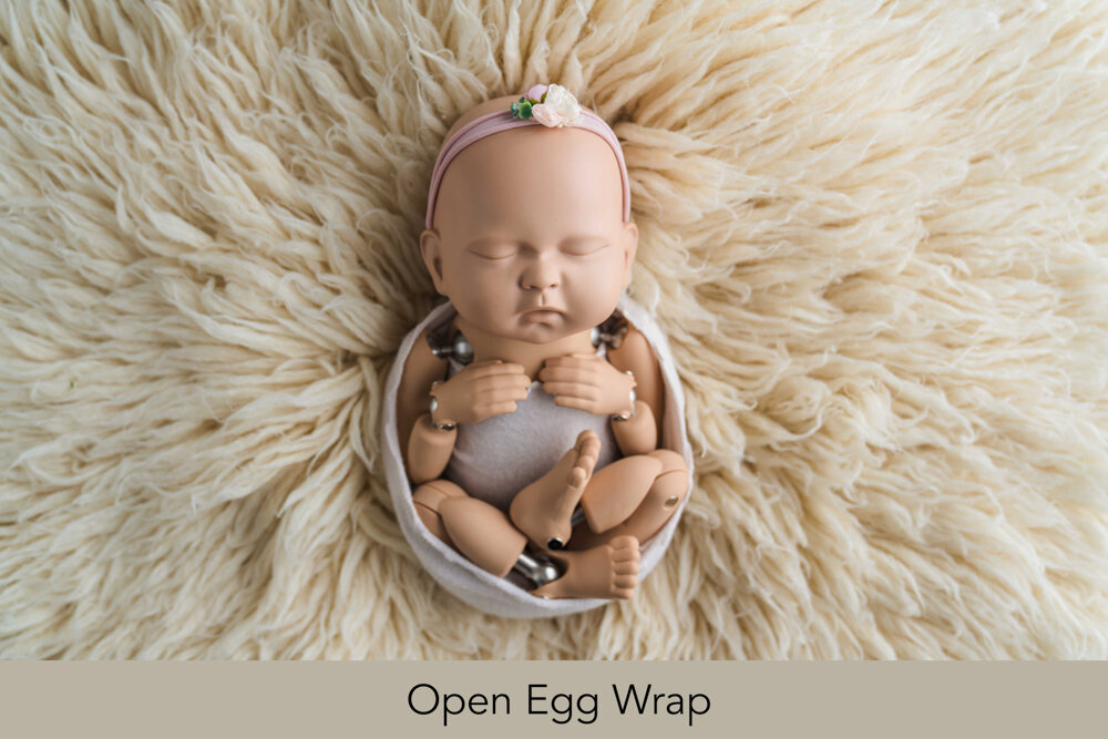 open egg wrap-1.jpg