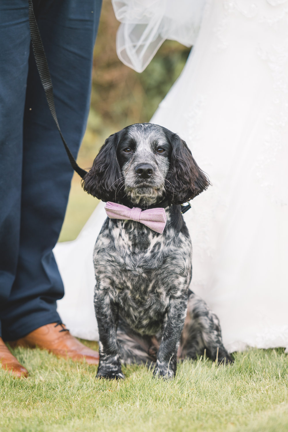 barden-tower-wedding-leeds-wedding-photographer-22.jpg