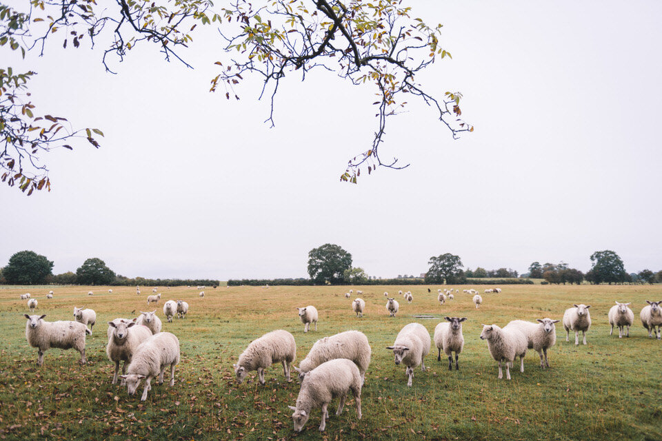 hornington-manor-york-yorkshire-wedding-photographer-7.jpg