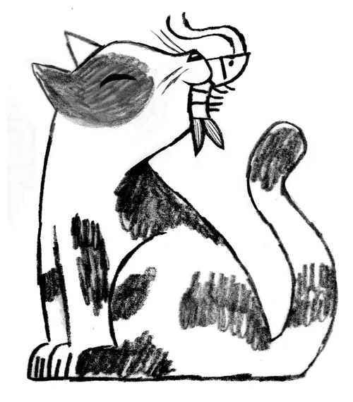 Shrimp Cat Cait Brennan shrimp-cat-cait-brennan