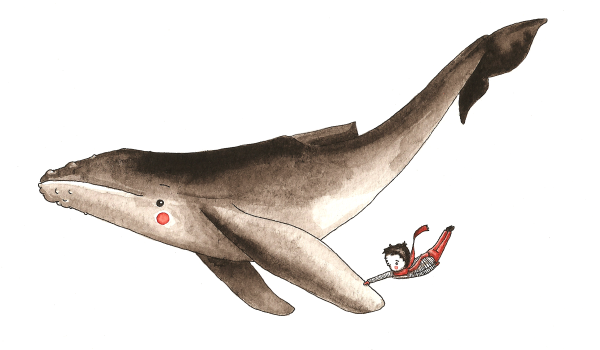 boy & whale