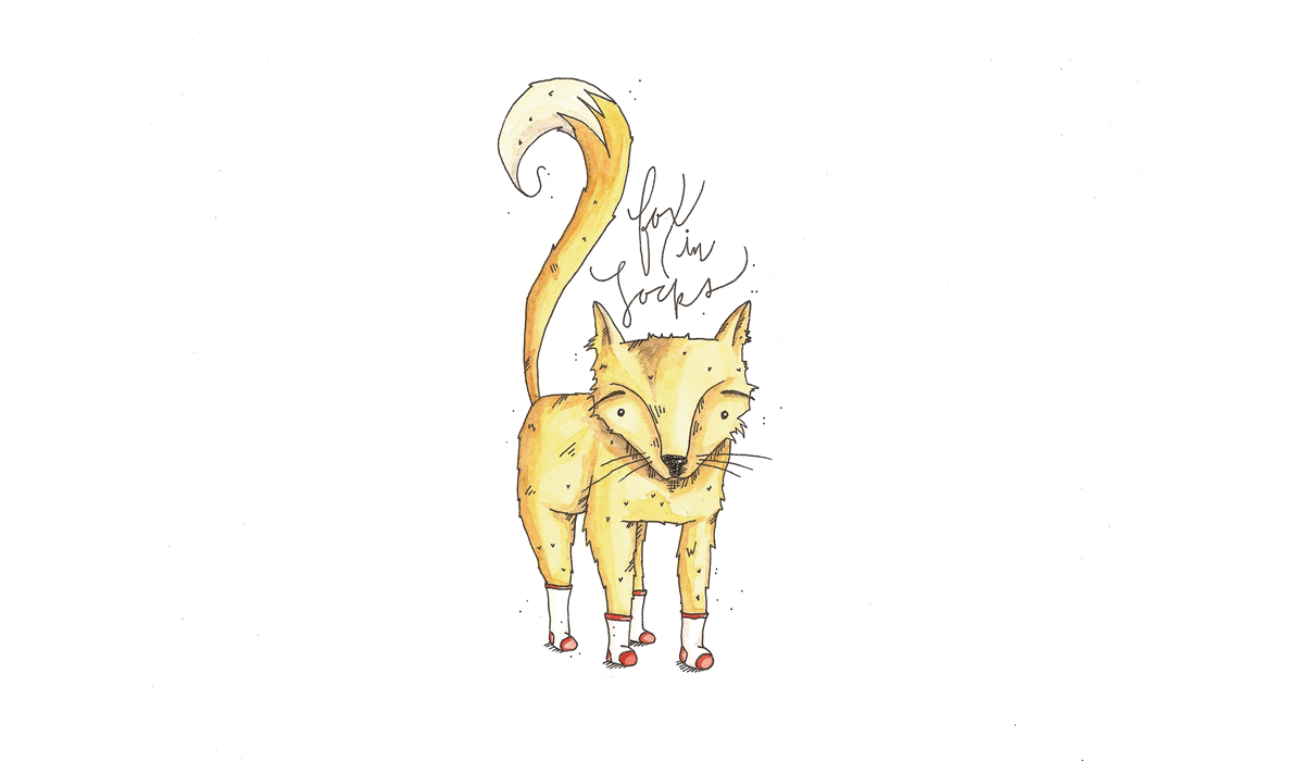 fox in socks