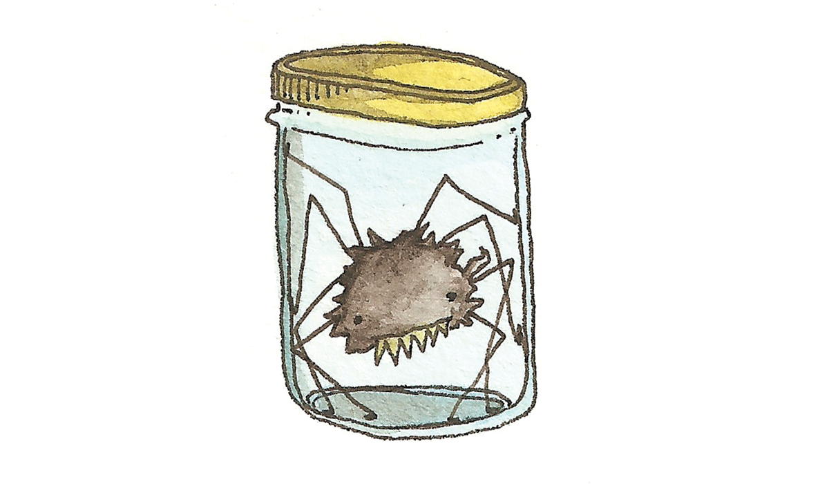 pet