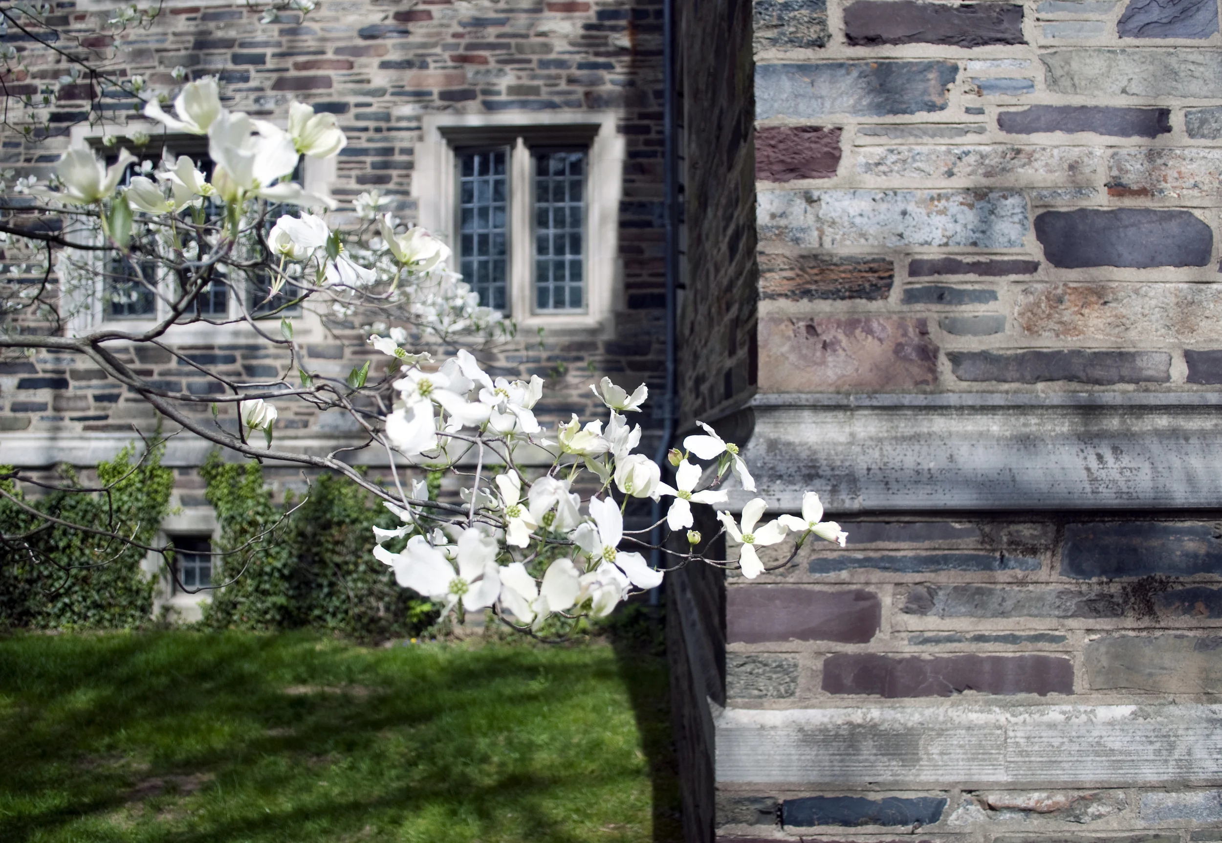 princeton06.jpg