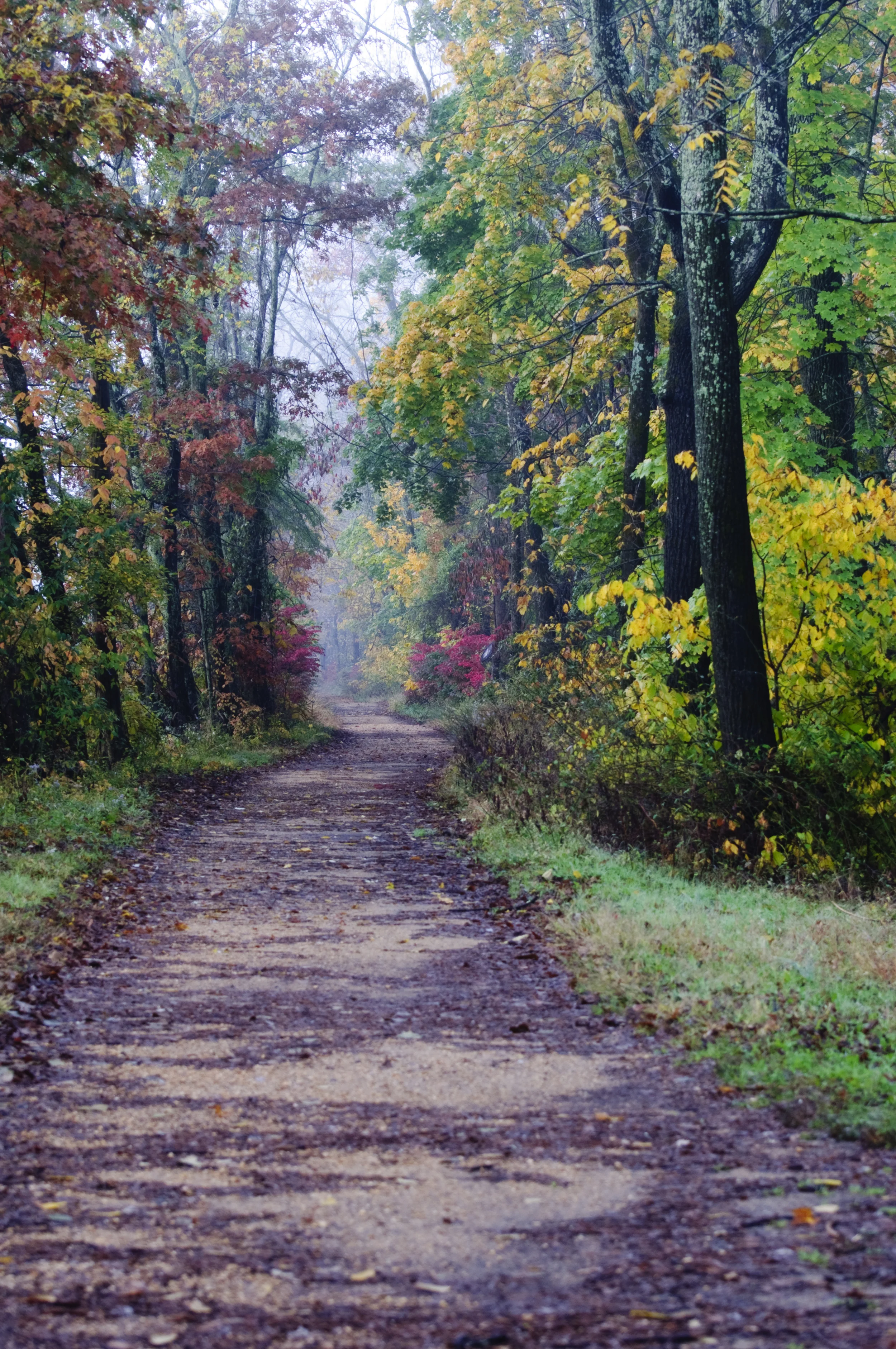 DSC_0013.jpg