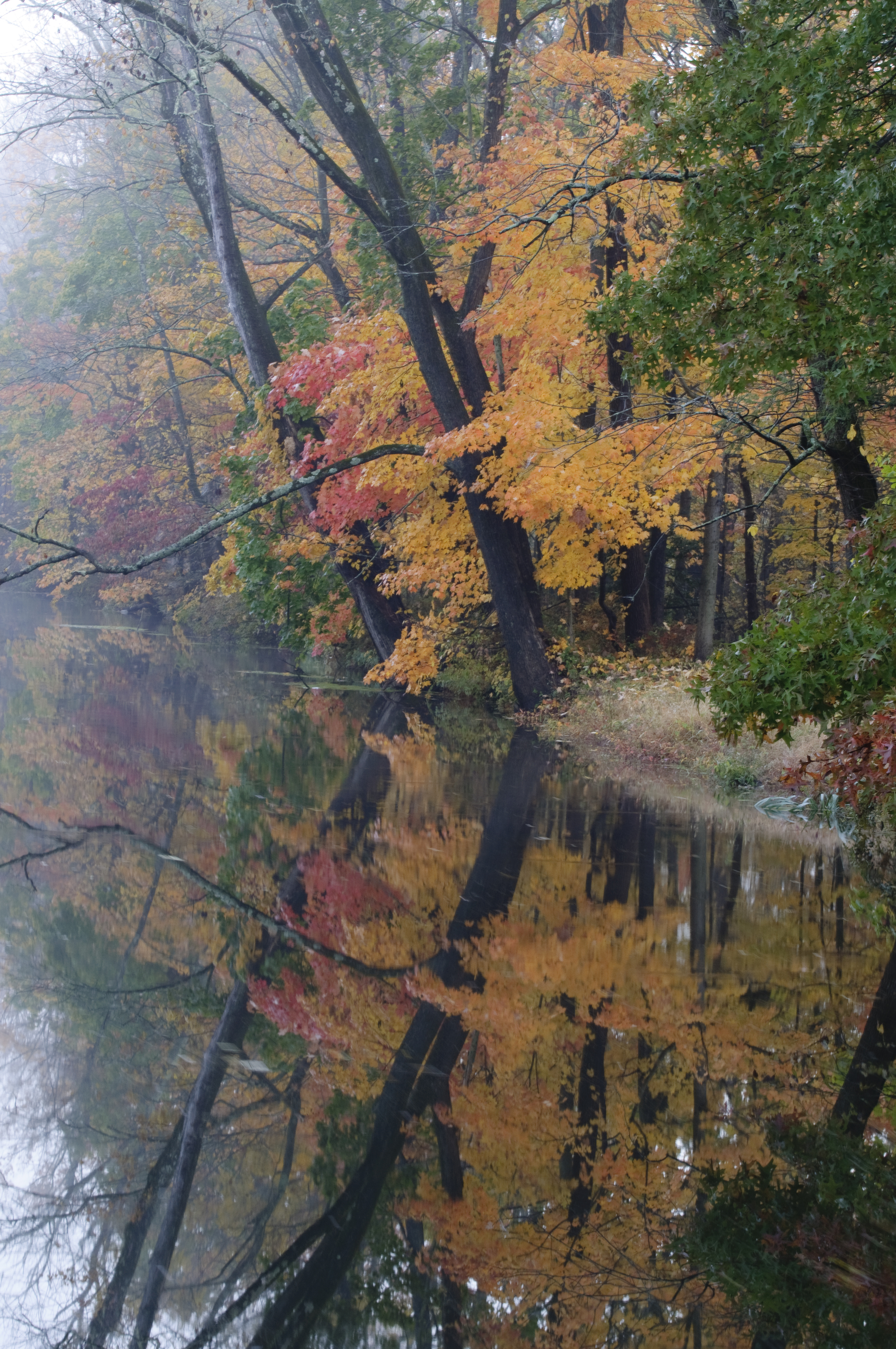 DSC_0023.jpg