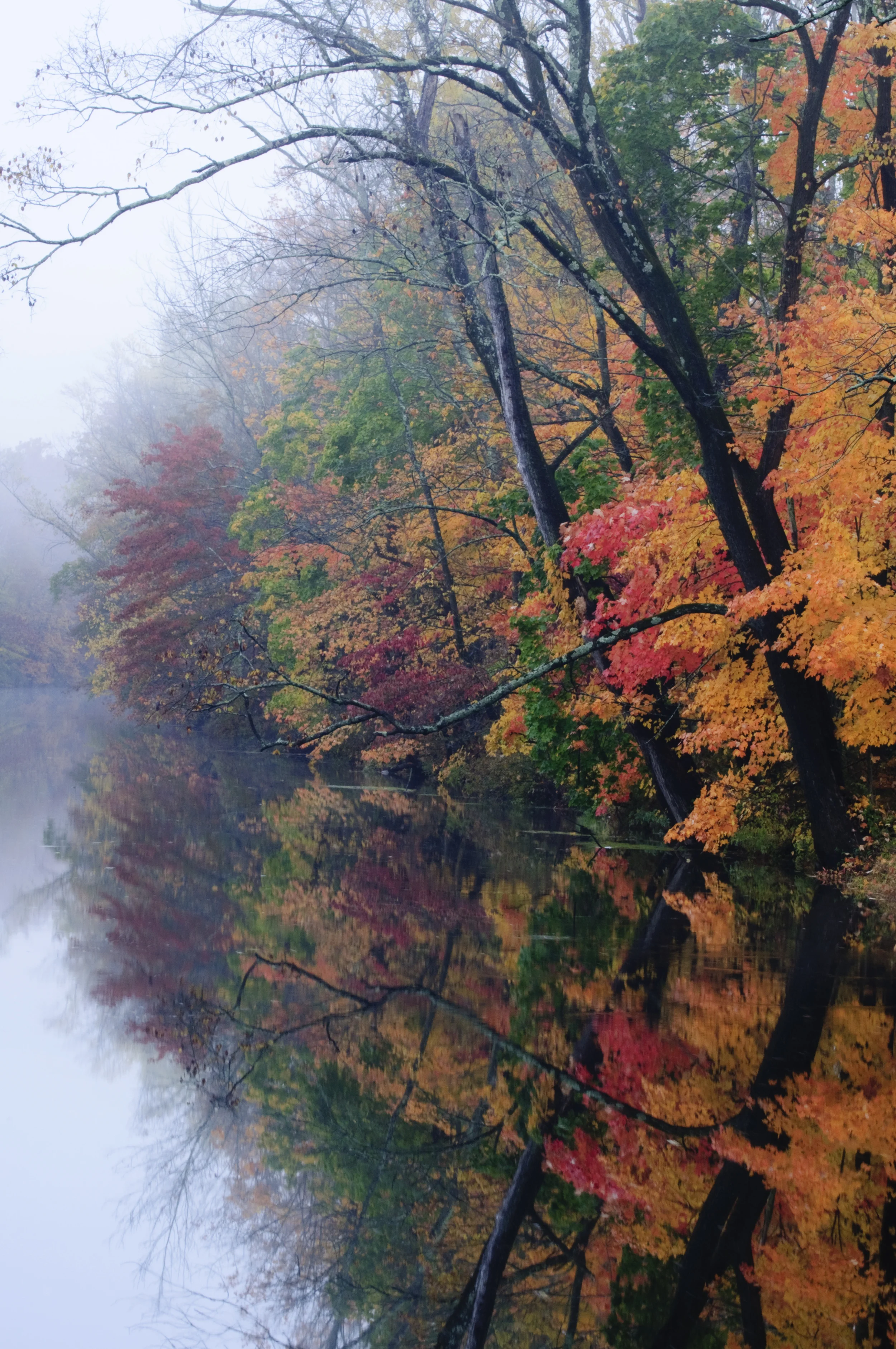 DSC_0035.jpg