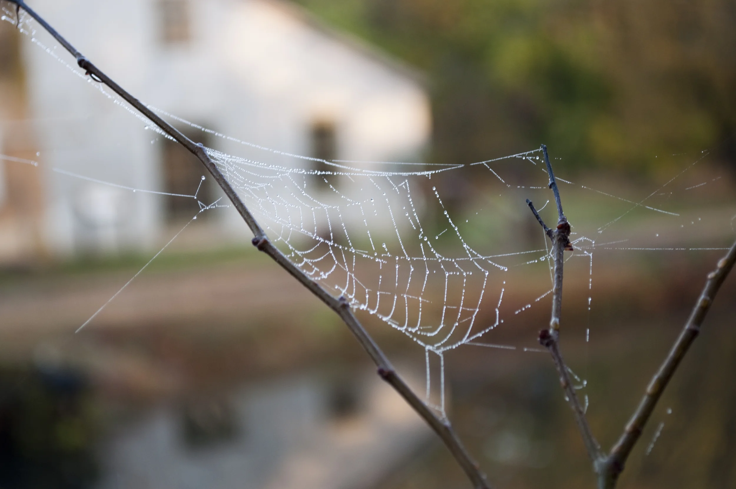 DSC_0084.jpg