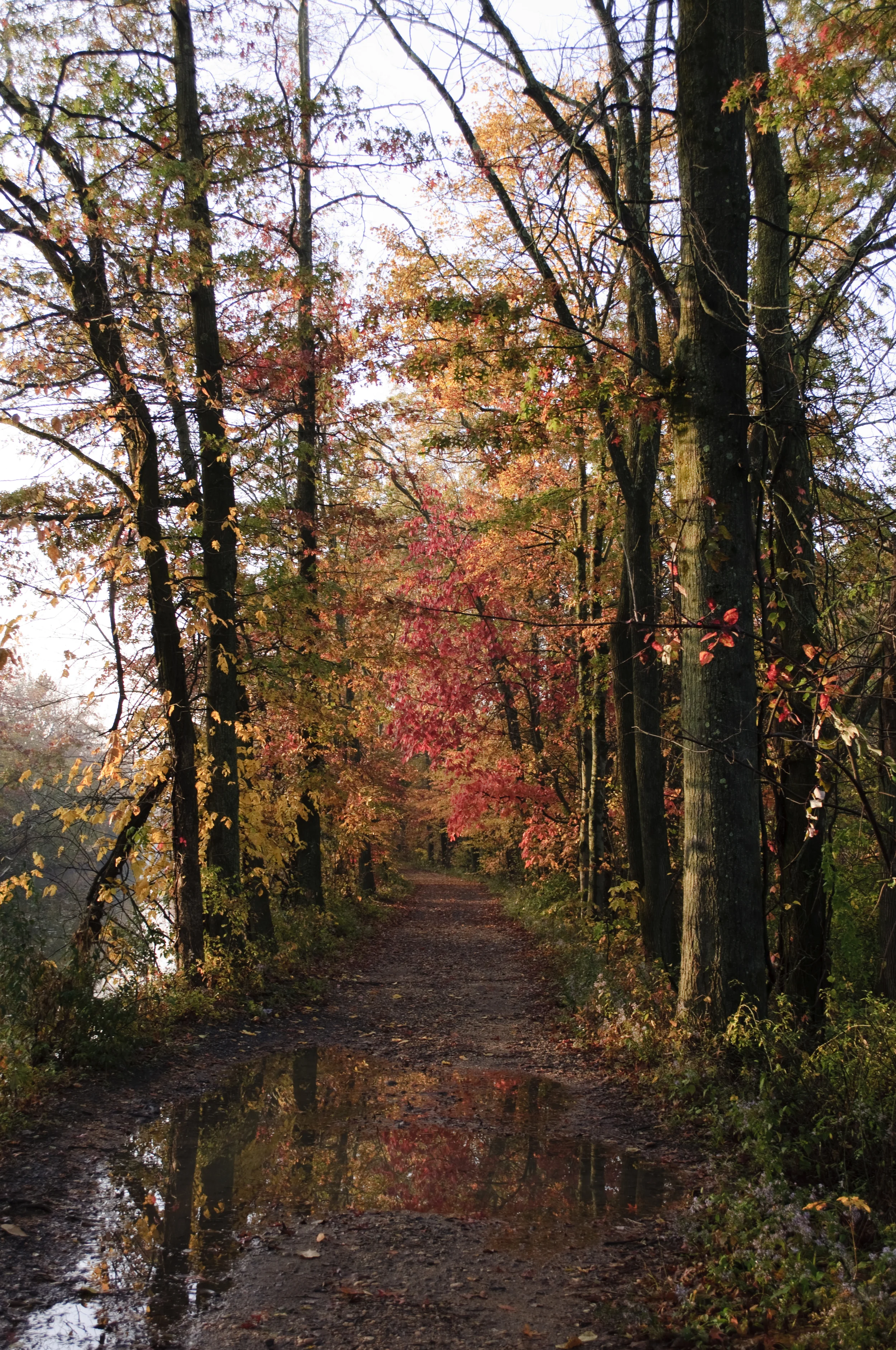 DSC_0107.jpg