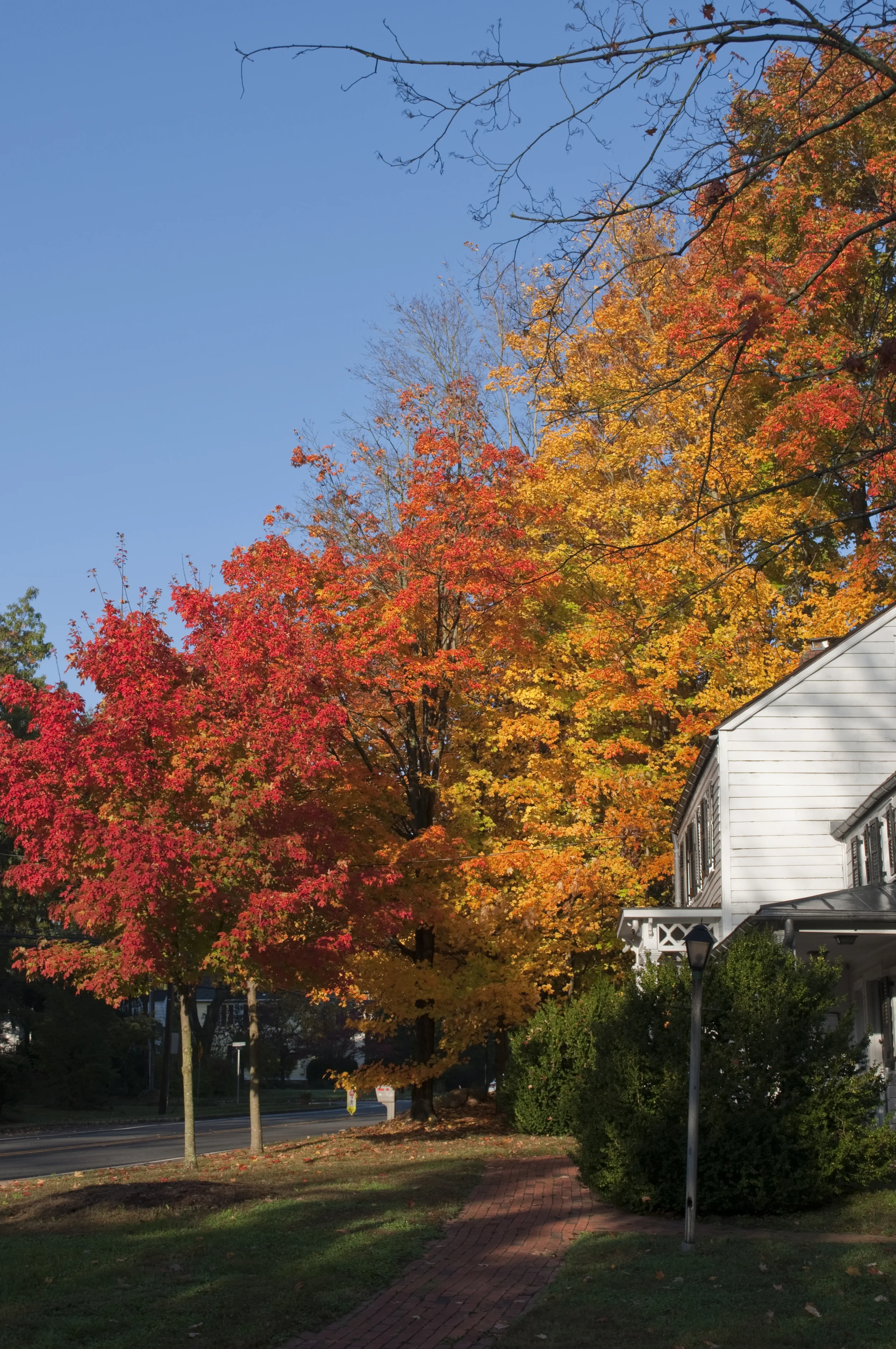 DSC_0157.jpg