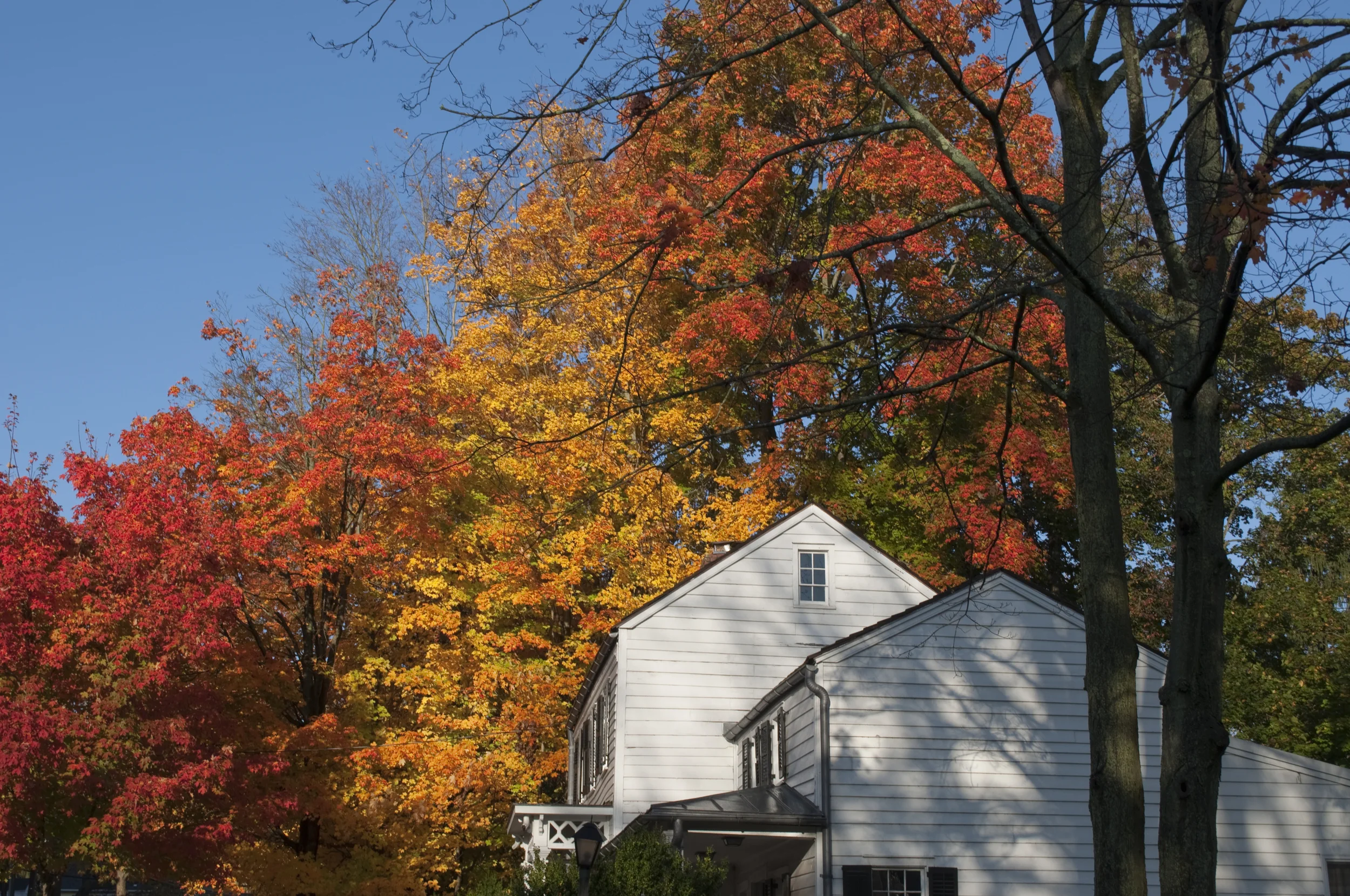 DSC_0158.jpg