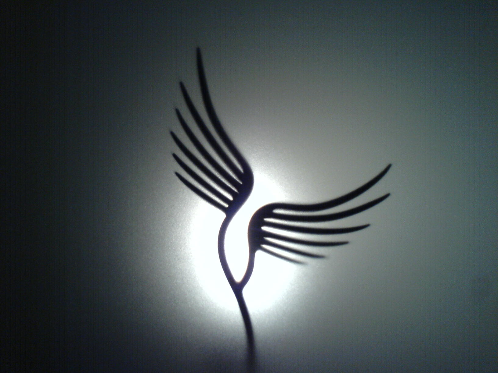 Detail of Winged Light