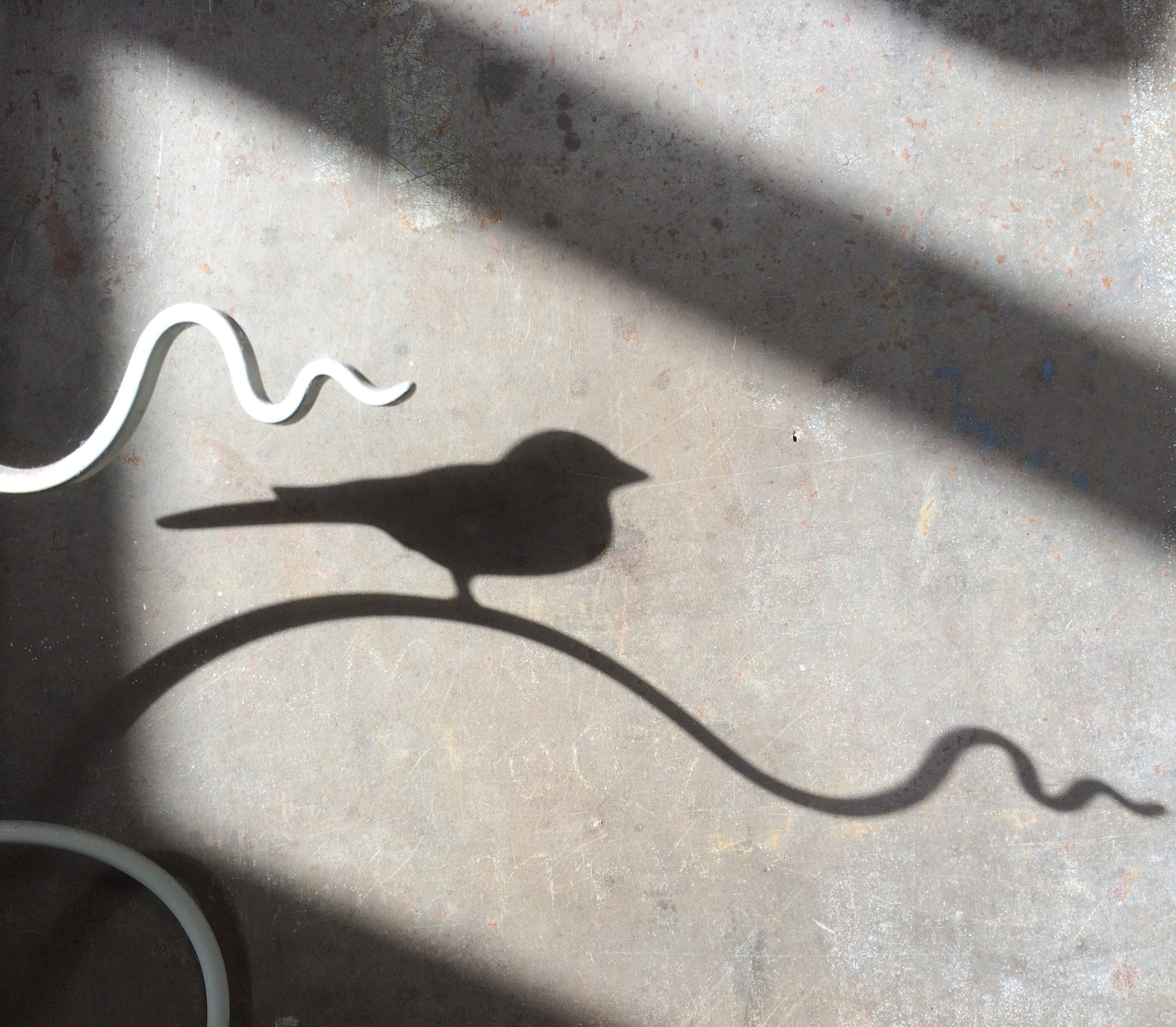 Bird Feeder Shadow